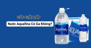 Giải Đáp Chi Tiết: Nước Aquafina Có Ga Không?