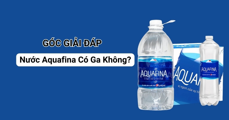 Giải Đáp Chi Tiết: Nước Aquafina Có Ga Không?